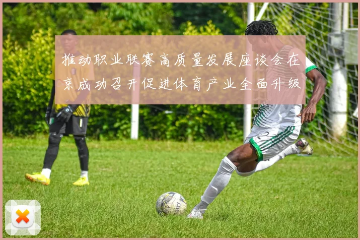 推动职业联赛高质量发展座谈会在京成功召开促进体育产业全面升级与创新发展